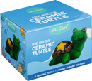 Art Star Paint Your Own Ceramic Turtle