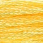 Sandy Brown DMC Stranded Cotton Art 117  - 744 Needlework Threads