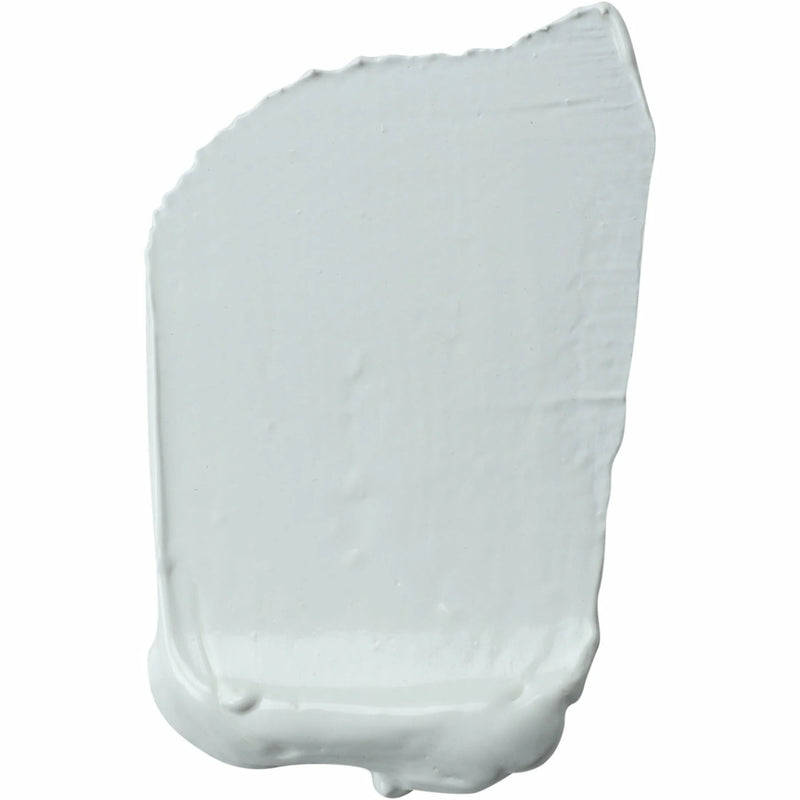 Light Gray Eraldo di Paolo Oil Paint Zinc White 50ml Oil Paints