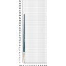 Light Slate Gray Art Spectrum Brush Series 900 Interlocked Hog Bristle - Filbert Size - 2 Paint Brushes