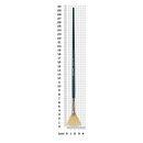 Dark Gray Art Spectrum Brush Series 900 Interlocked Hog Bristle - Fan  Size - 2 Paint Brushes