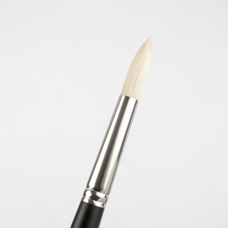 White Smoke Art Spectrum Brush Series 1100 Interlocked Hog Bristle - Round Size - 12 Paint Brushes