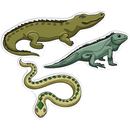 Dim Gray Teachers Choice  Paper Shapes Reptiles (12 Piece) Kids Paper Shapes