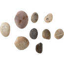 Rosy Brown Art Star Rock Art Painting Kit (9 Rocks) Kids Craft Kits