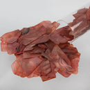 Urban Crafter Chips 60g