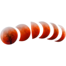 Urban Crafter Moon Phases Silicone Resin Mould-Large Two Piece Mould